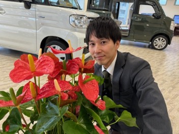 観葉植物で店内を緑に（高野みどりプロジェクト）